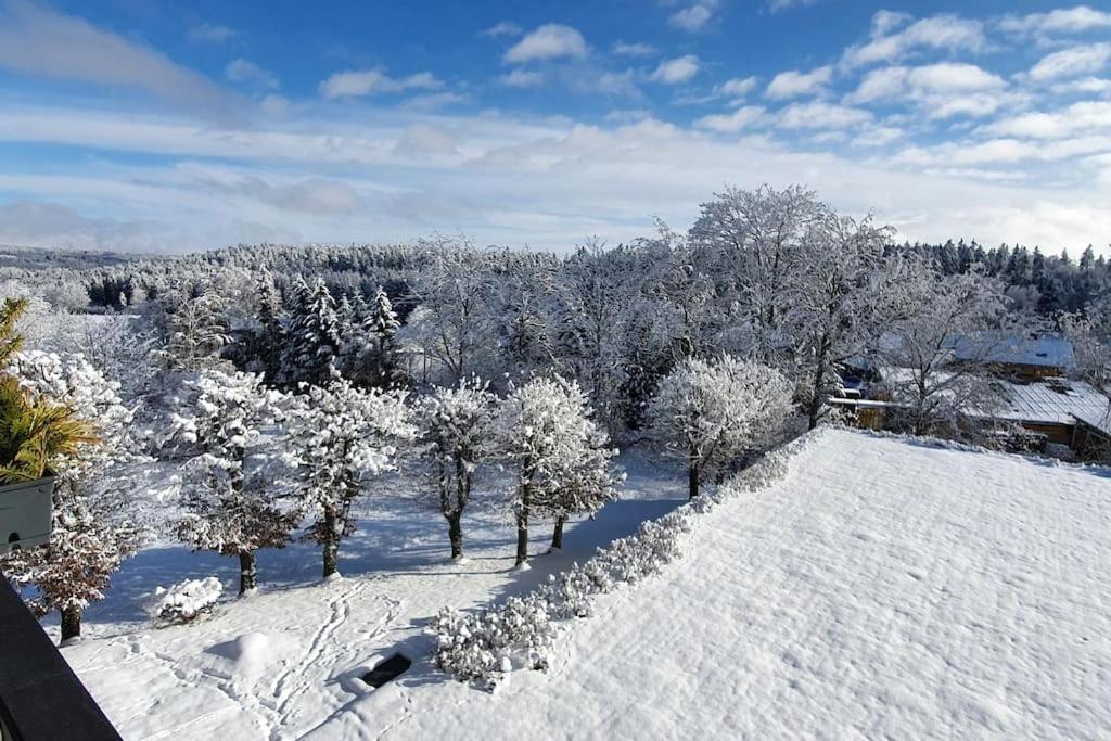 Black Forest Bergliebe Pool Terrasse Natur Ruhe Komfort Höchenschwand Exterior foto
