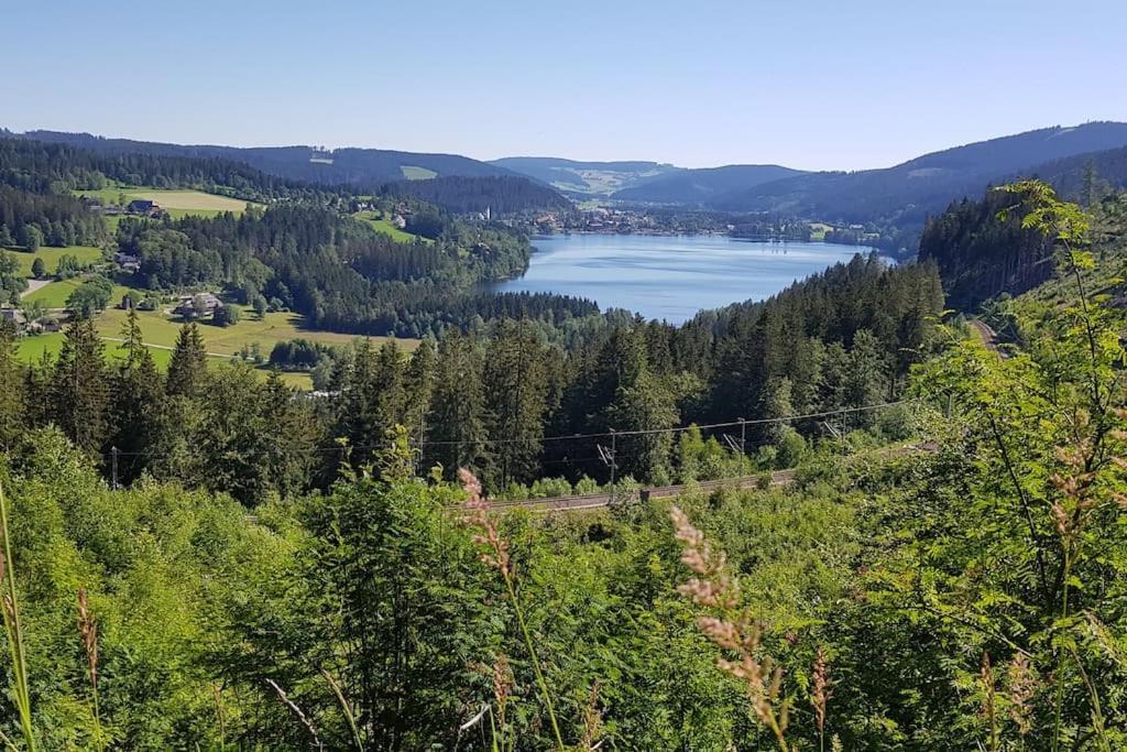 Black Forest Bergliebe Pool Terrasse Natur Ruhe Komfort Höchenschwand Exterior foto